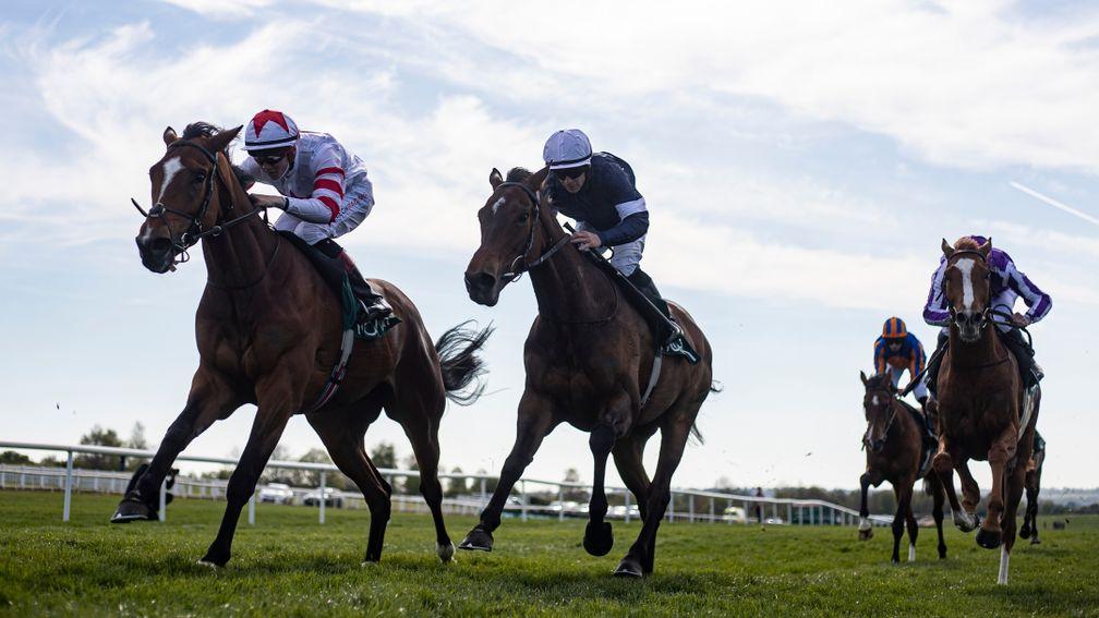 Baron Samedi: saw off Master Of Reality to land the Group 3 Vintage Crop Stakes at Navan in April