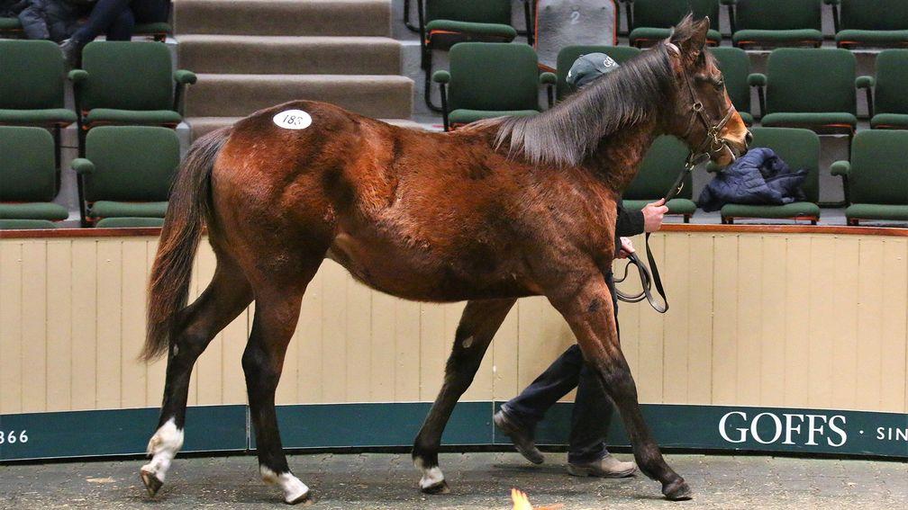 Tuesday's session-topping son of Churchill in the Goffs sale ring
