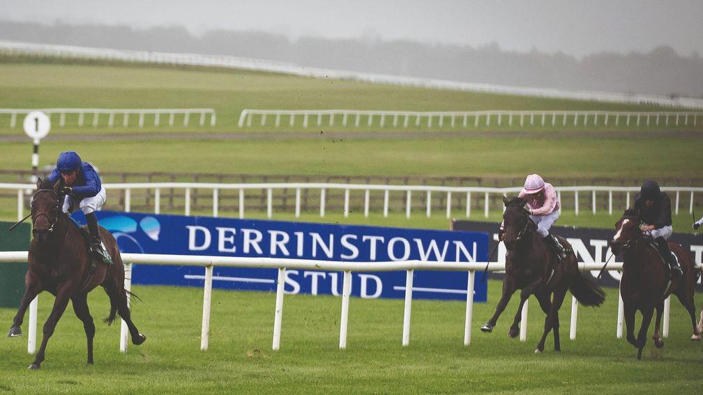 Pinatubo: won the Vincent O'Brien National Stakes at the Curragh by nine lengths