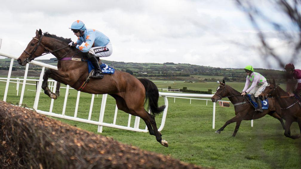 Punchestown: stages excellent racing on Wednesday