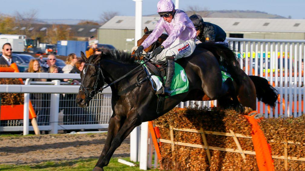 North Hill Harvey: bidding to give Dan and Harry Skelton back-to-back wins in the Randox Health County Hurdle