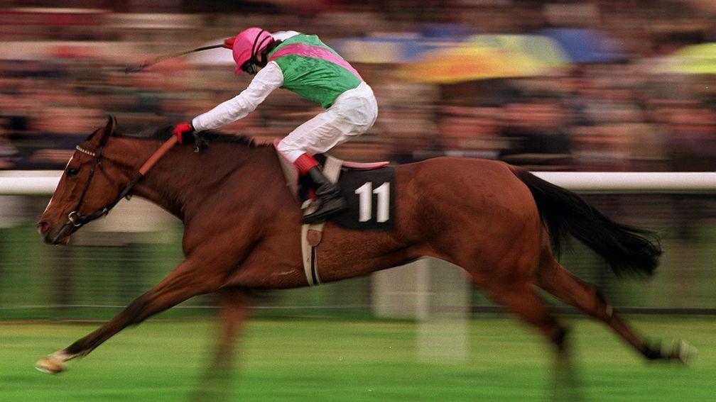 Wince: understudy for Bionic and winner of the 1,000 Guineas for Juddmonte in 1999