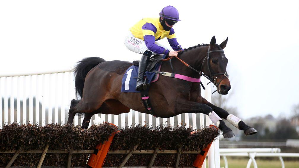 WETHERBY, ENGLAND - FEBRUARY 17: Ballybegg ridden by Richard Patrick clears a fence on their way to winning the Every Race Live On Racing TV Novices' Hurdle at Wetherby Racecourse on February 17, 2021 in Wetherby, England. (Photo by Tim Goode-Pool/Getty I