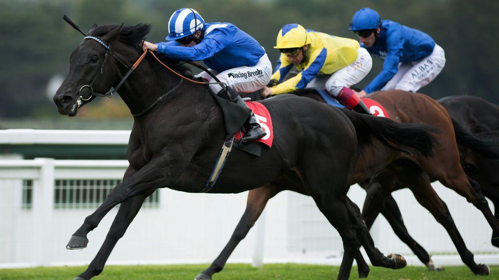 Wafy, a son of the brilliant Ghanaati, defends family honour in the bet365 Classic Trial