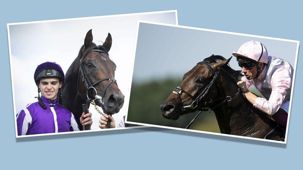 The pedigrees of Ten Sovereigns (left) and Too Darn Hot go under the scalpel
