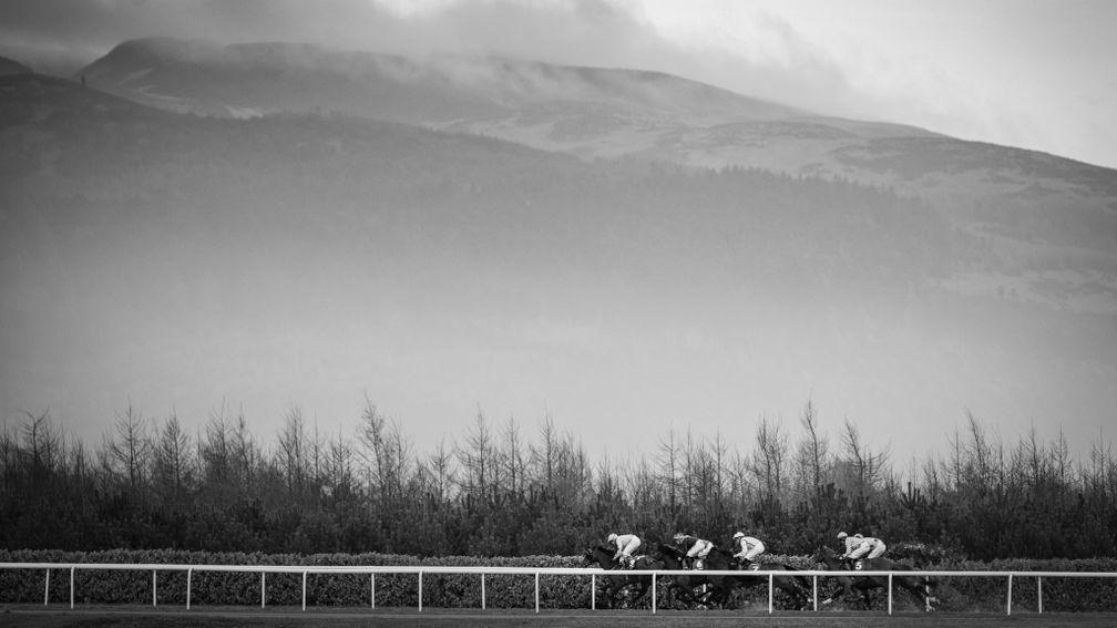 The background of the Cooley Mountains at Dundalk Stadium