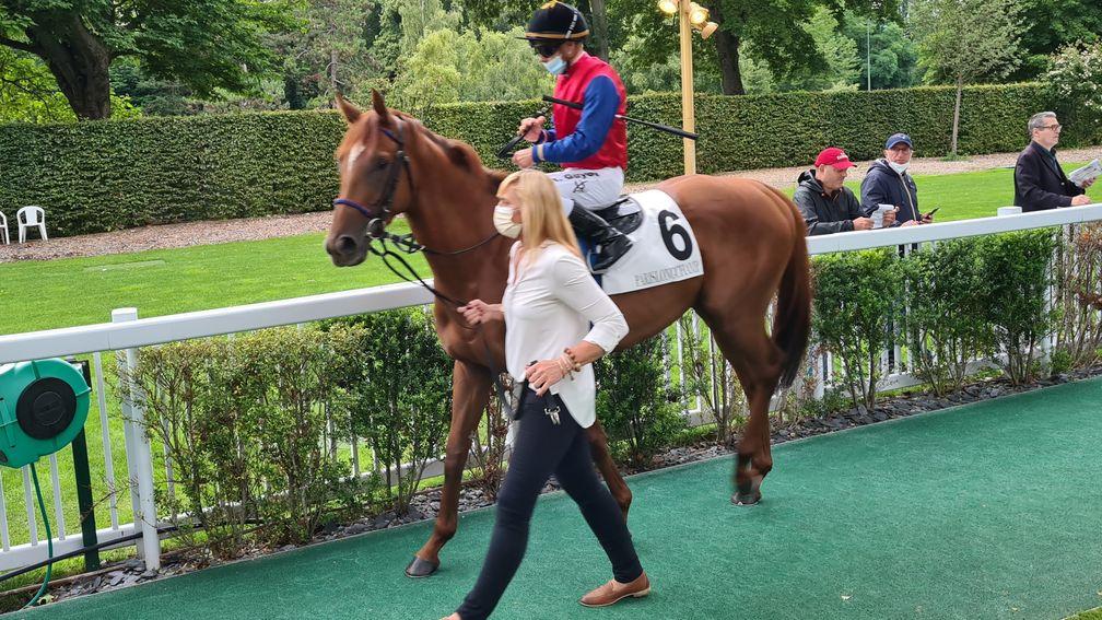Northern Ruler could present a major challenge to Alpinista and Sisfahan in the Group 1 Preis von Europa