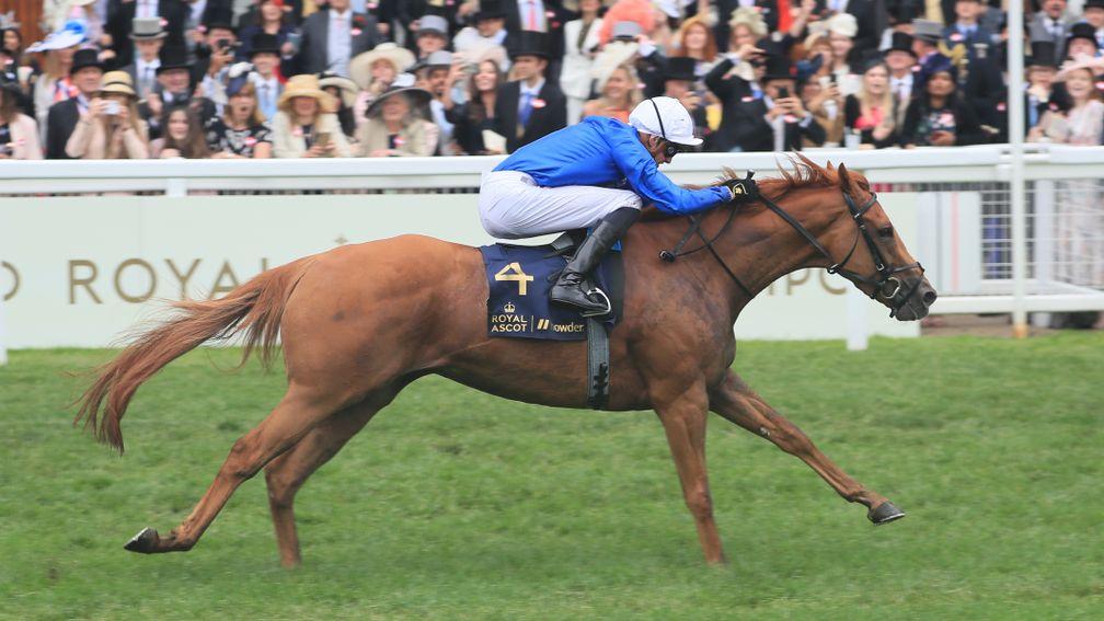 Creative Force: could provide Godolphin with another Group victory