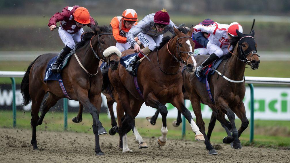 Mango Tango (left) beats Toast Of New York (centre) and runner-up Scarlet Dragon