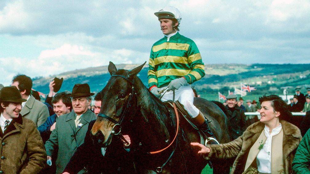 Mister Donovan: winner of the Sun Alliance Novices' Hurdle (now the Ballymore) in 1982