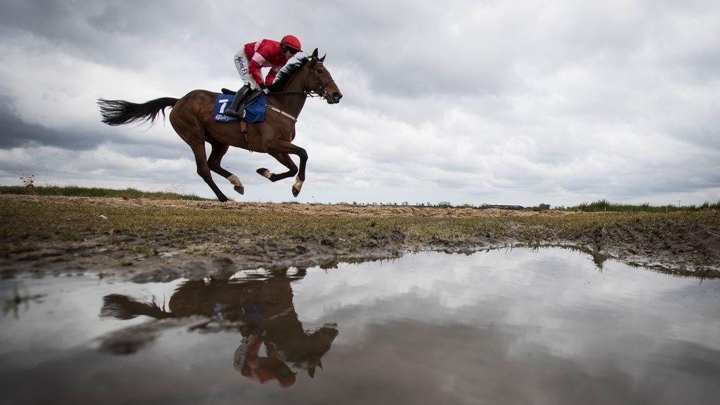 Whatever the weather she’s just ace: Laurina whistles past a puddle before recording another effortless Grade 1 victory
