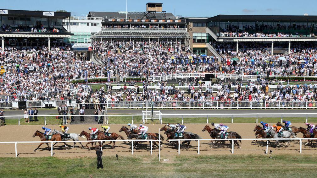The Northumberland Plate field pass the stands for the first time with Withhold in front
