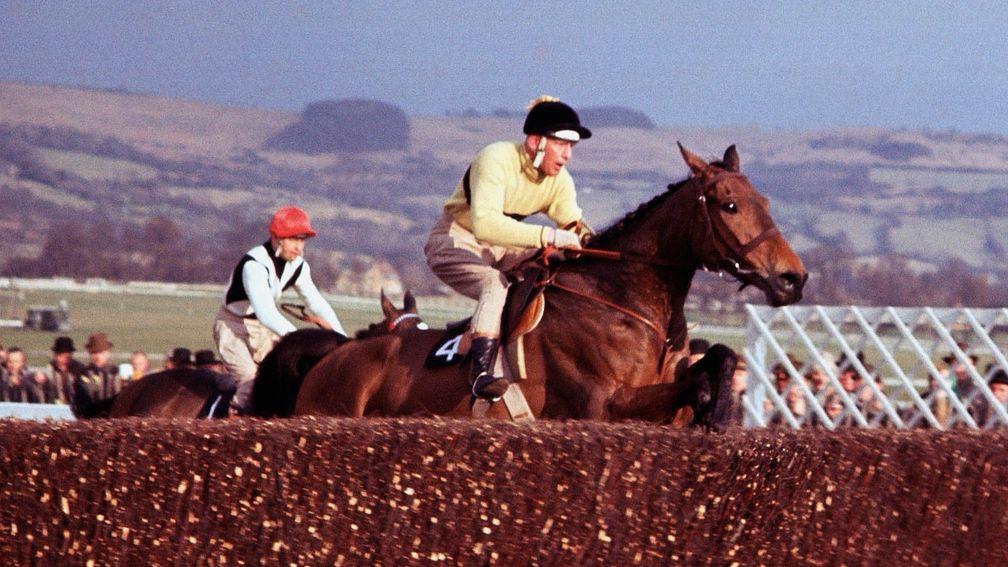 Arkle: Ralph hasn't been to Cheltenham for a while, but he remembers witnessing Himself's three Gold Cup victories