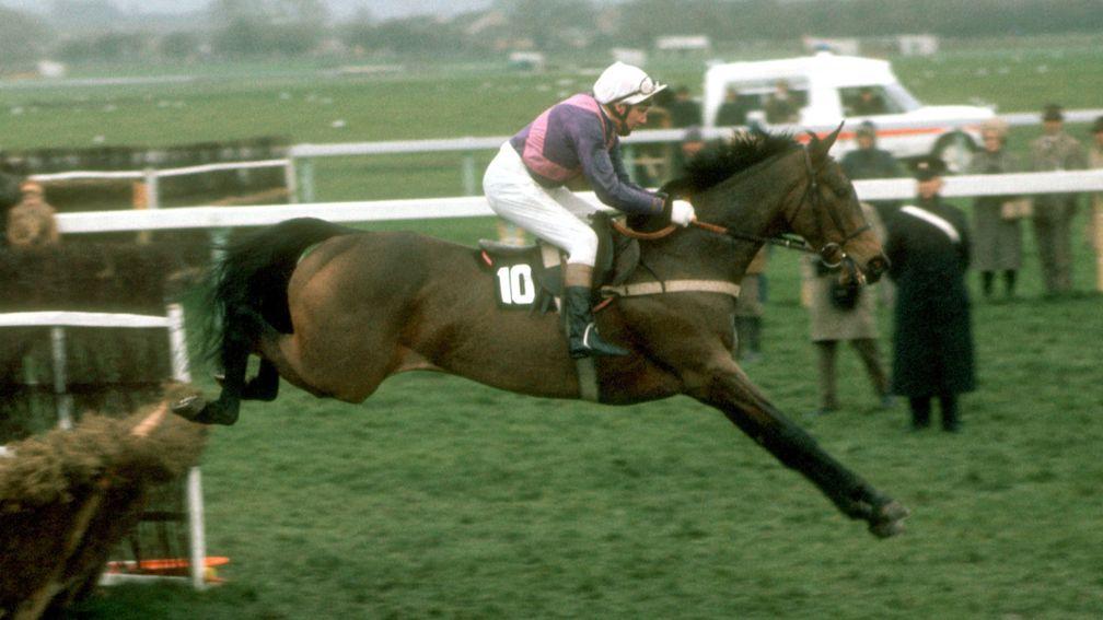 Night Nurse and Paddy Broderick in their pomp in the 1976 Champion Hurdle