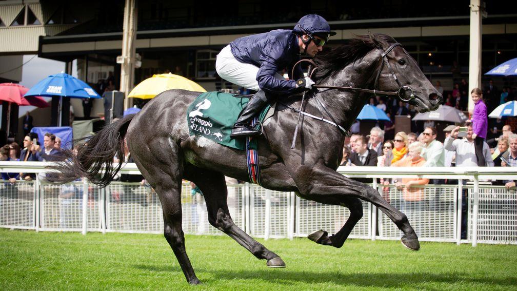 Caravaggio: won the Marble Hill Stakes in 2016