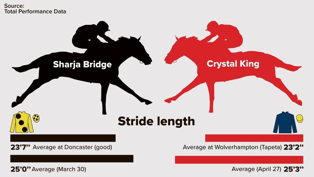 Sharja Bridge and Crystal King are both long striders