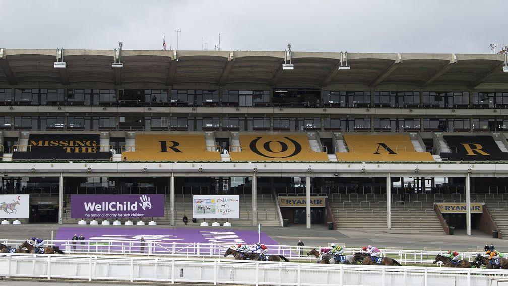 Empty stands at last year's Cheltenham Festival, which was staged behind closed doors
