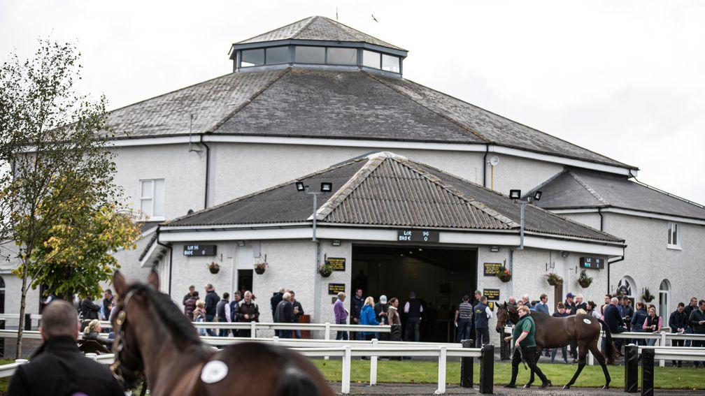 The Tattersalls Ireland February National Hunt Sale will take place on April 7