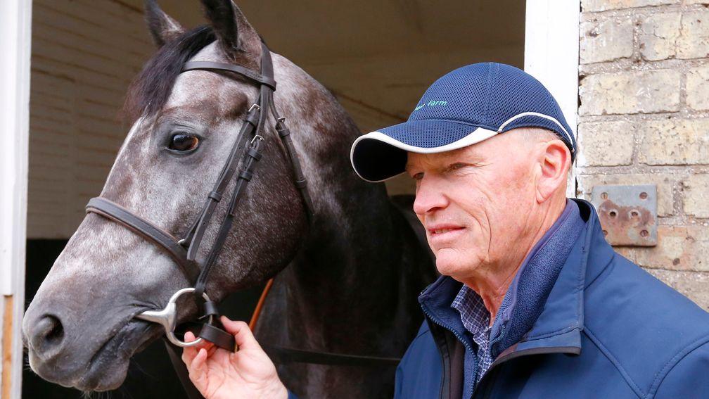 Looking to the autumn: John Gosden and Roaring Lion in relaxed mood as Qipco Champions Day approaches