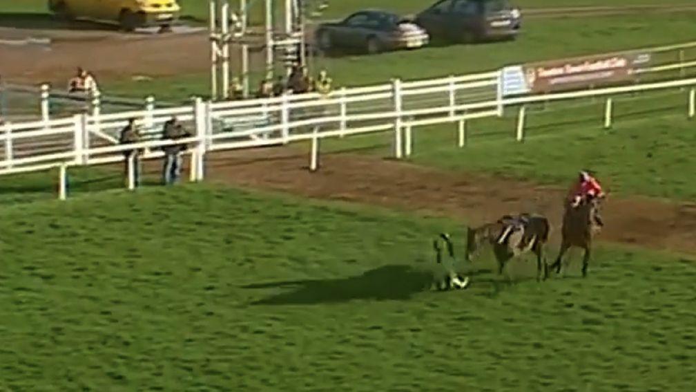 Leg Lock Luke, the 2-1 Taunton favourite, unseats rider Tom O'Brien with the race at mercy