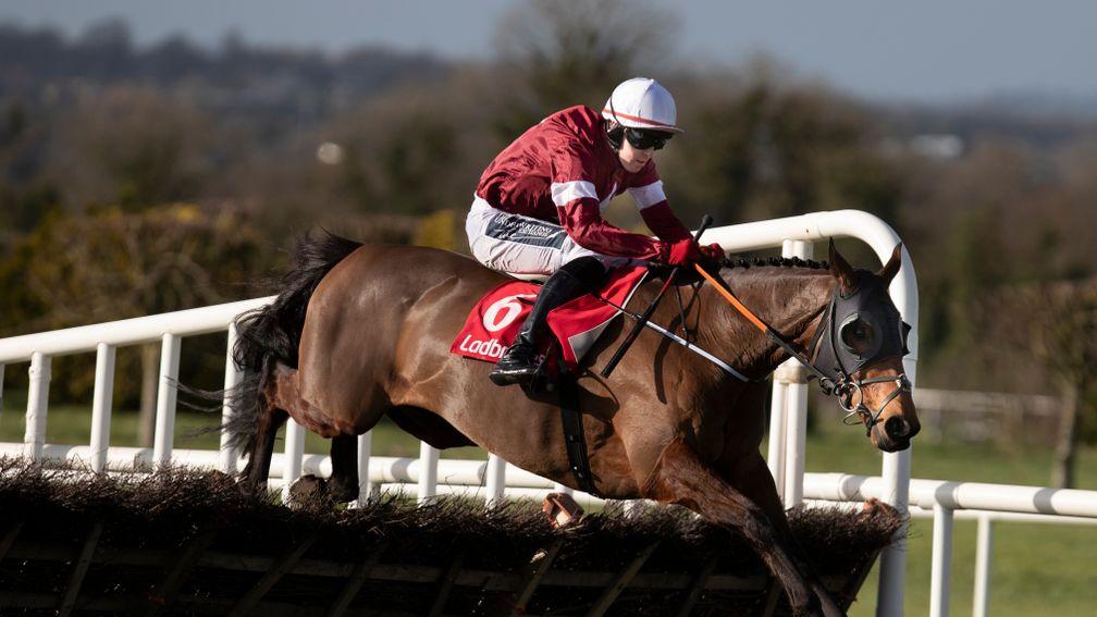 Tiger Roll: cut for the Cross Country and Grand National after Navan win