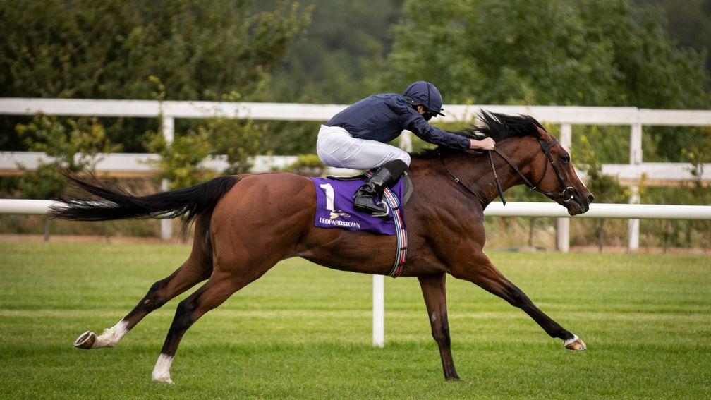 Armory: one of two runners by Galileo in the Irish 2,000 Guineas