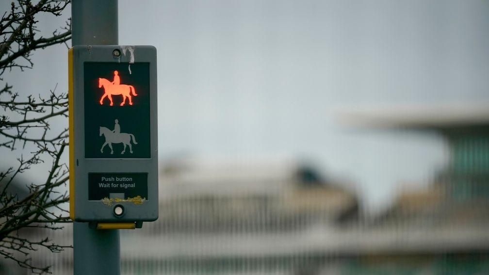 Stop! No Grand National at Aintree this year