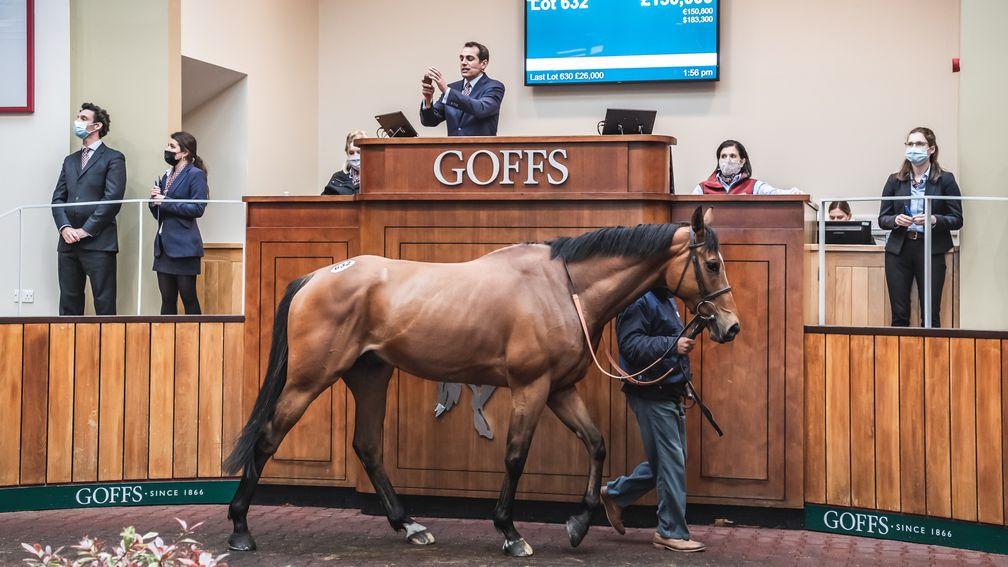 Hold The Note tops the second day of the Goffs UK HIT/P2P Sale when making £130,000 to Brian Jordan