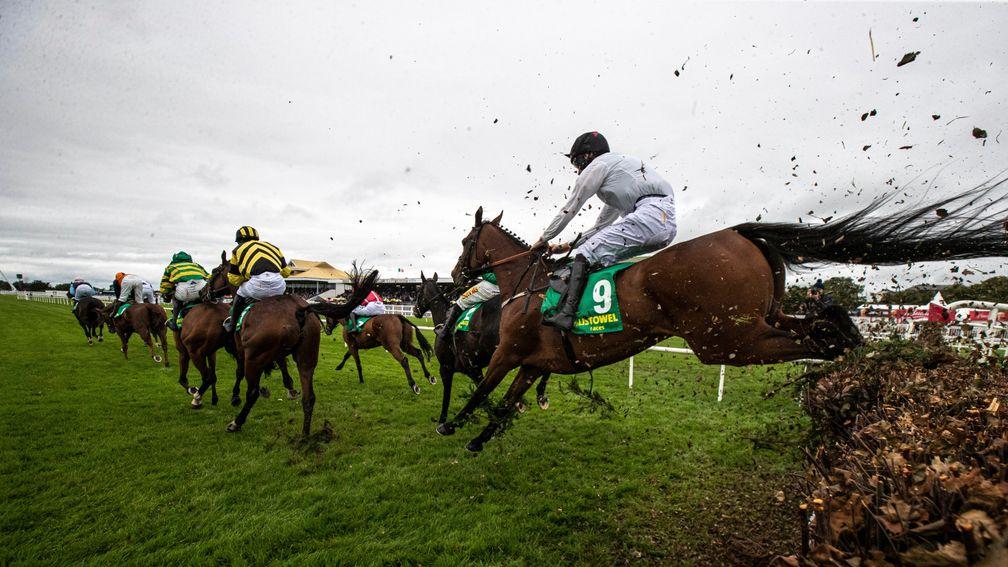 Listowel: all of the focus is on the Kerry track this week