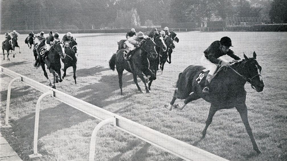 Sea-Bird and Pat Glennon draw clear of their Arc rivals in 1965
