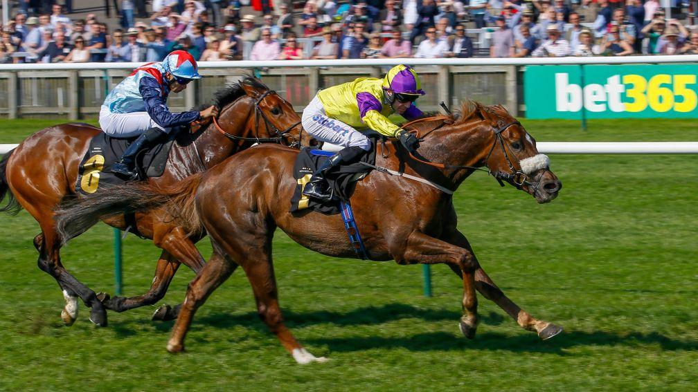 Brando (right) gets the better of Sir Dancealot to win the Abernant Stakes at Newmarket for the second year running