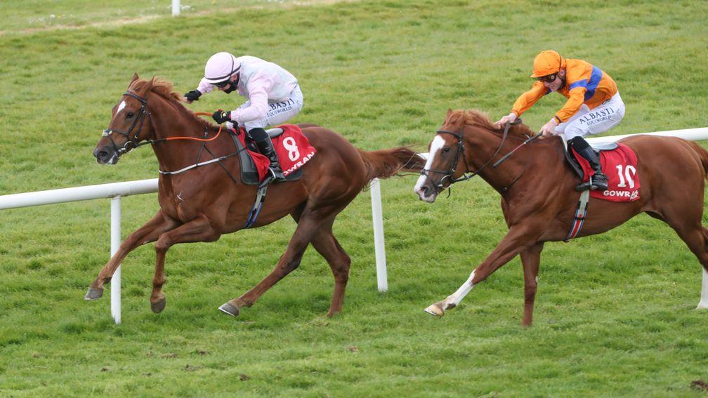 Agrimony (left): on his way to winning his maiden at Gowran Park