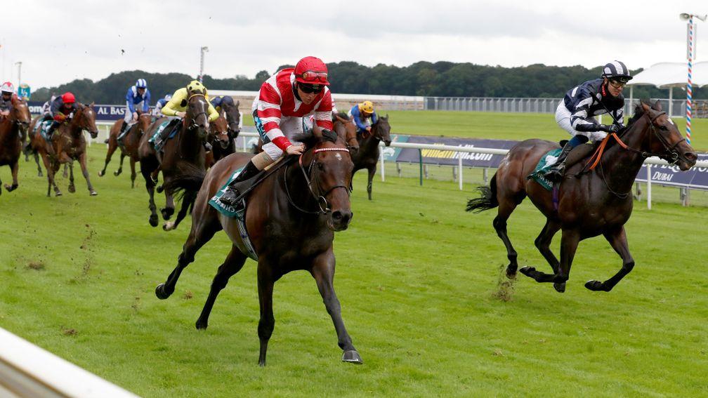 Sinjaari (red cap, left): storms to victory in the John Smith's Cup at York