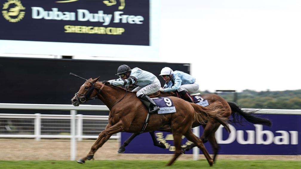 ASCOT, ENGLAND - AUGUST 11:  Per-Anders Graberg riding Cleonte (L) win The Dubai Duty Free Shergar Cup Stayers at Ascot Racecourse on Shergar Cup Day on August 11, 2018 in Ascot, United Kingdom. (Photo by Alan Crowhurst/Getty Images)