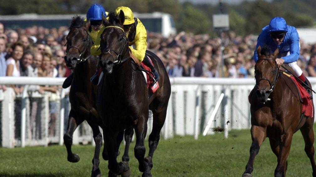 Kheleyf (yellow) seen in early winning form at Doncaster