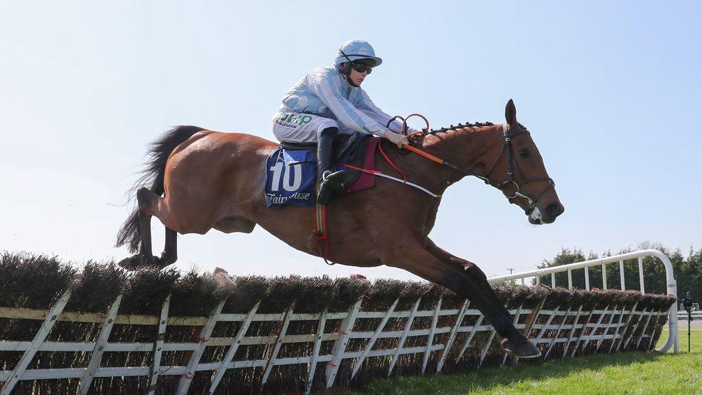 Honeysuckle goes up to 148 and could possibly improve into a Champion Hurdle contender