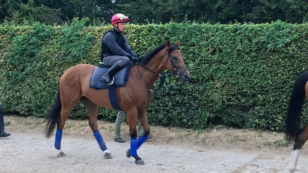 Lord North and Frankie Dettori head to the Al Bahathri on Thursday morning