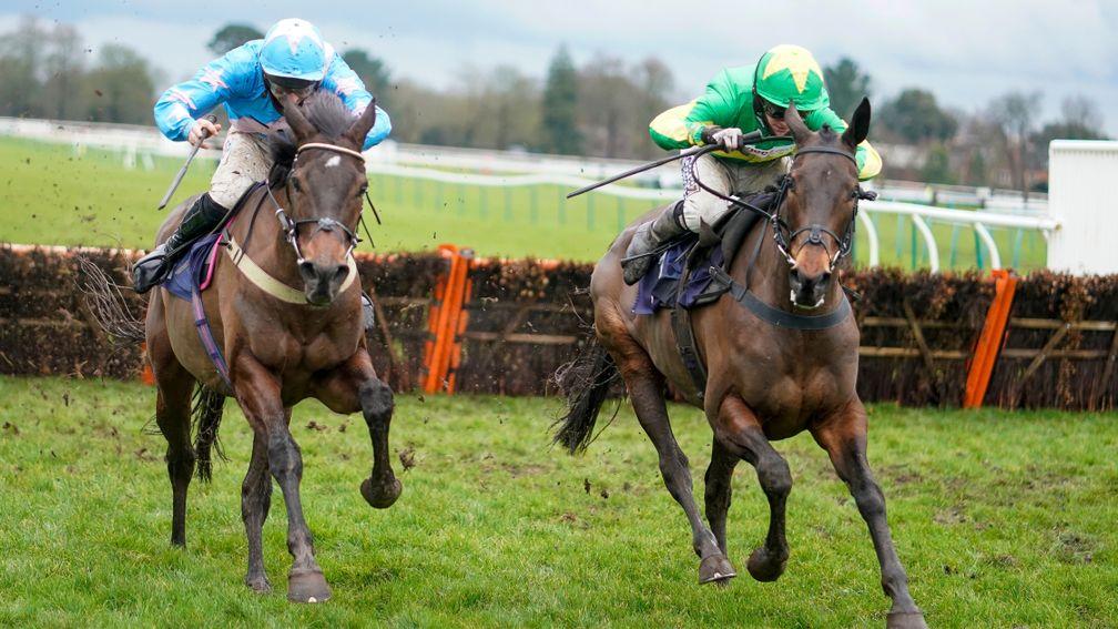 Lily The Pink (right): part of a first career double for conditional jockey Ben Godfrey at Fontwell on Thursday