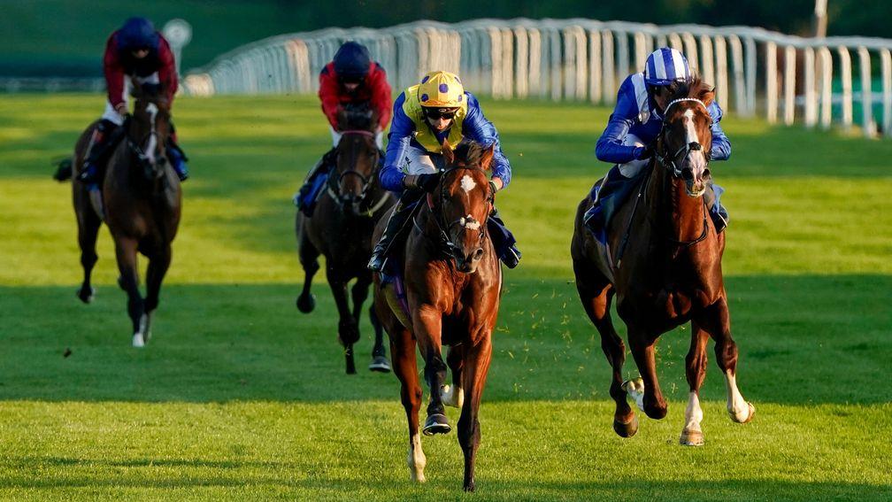 My Frankel (left): a three-time winner for Sir Michael Stoute