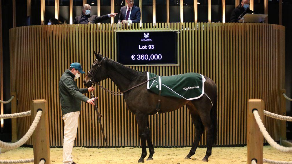 Mageva, third in the Poule d'Essai des Pouliches, goes the way of Shadai Farm for €430,000