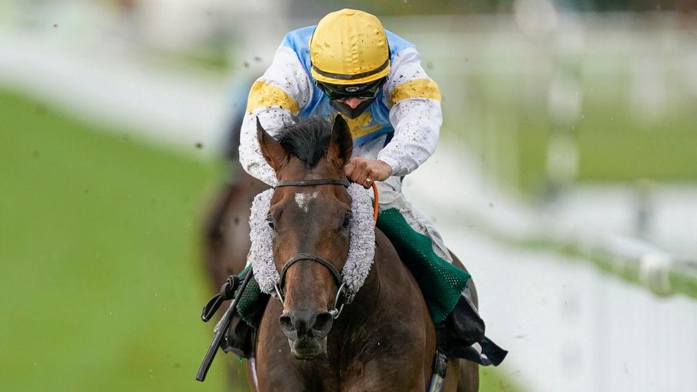 CHICHESTER, ENGLAND - AUGUST 28: Harry Bentley riding Call My Bluff (yellow cap) win The Ladbrokes Watch Racing Online For Free Handicap at Goodwood Racecourse on August 28, 2020 in Chichester, England. Owners are allowed to attend if they have a runner a