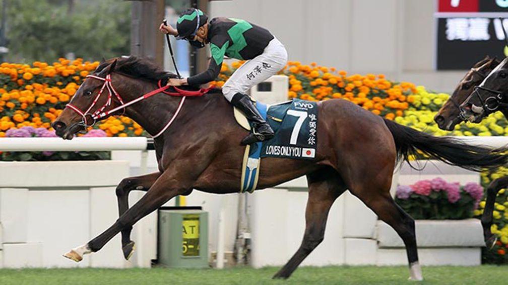Loves Only You won the Group 1 QEII Cup at Sha Tin