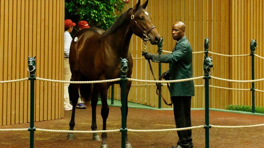 This $750,000 War Front filly ended the frustrations of Book 1 for Chris Richardson