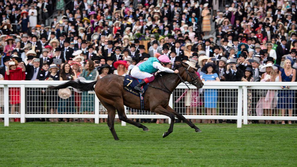 Kingman's son Calyx lands the Coventry Stakes
