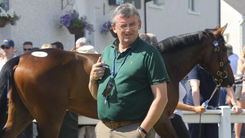 Eddie O'Leary on the lookout for stars at Tattersalls Ireland