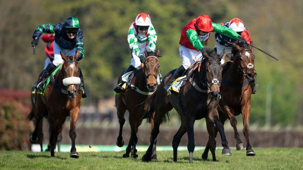 Kitty's Light (far right) was hampered in last year's bet365 Gold Cup
