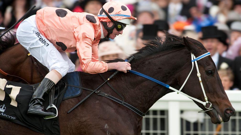 Black Caviar: is she the best sprinter to have raced in Britain?