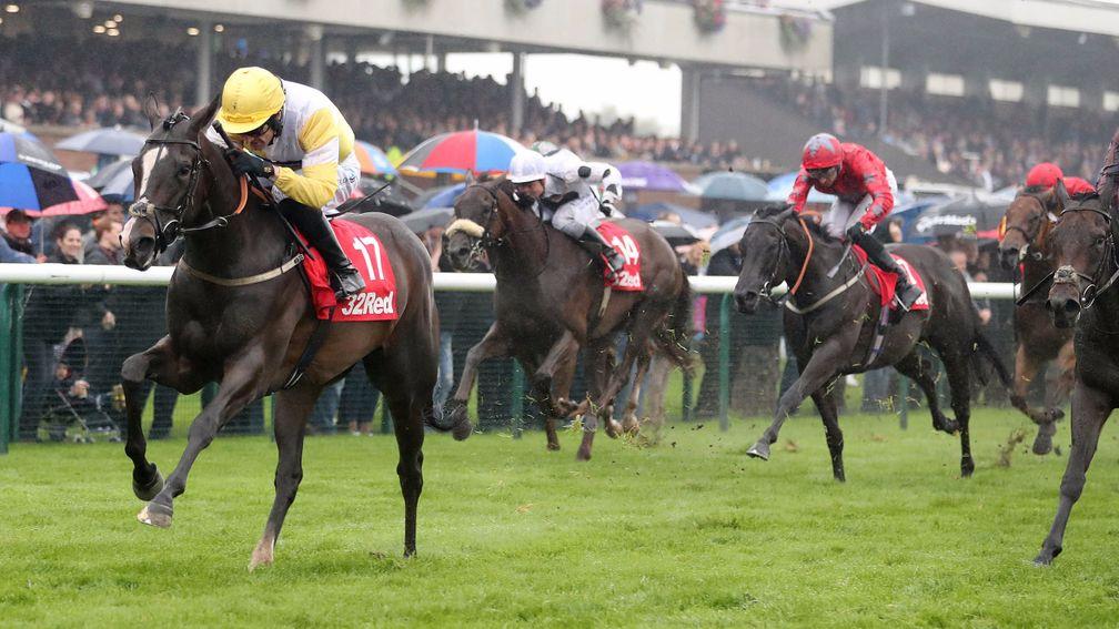 Quiet Reflection: Saturday's Haydock Sprint Cup winner is highly fancied for Ascot victory
