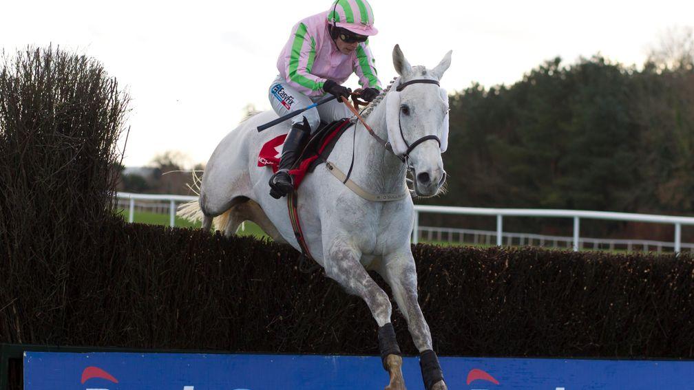 Punchestown: will be testing on Wednesday