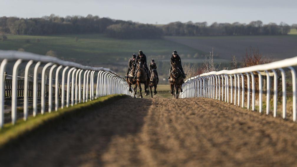LAMBOURN, ENGLAND - JANUARY 05:  Racehorse make their way up the Mandown gallops from Warren Greatrexâs Uplands yard on January 5, 2018 in Lambourn, England. (Photo by Alan Crowhurst/Getty Images)
